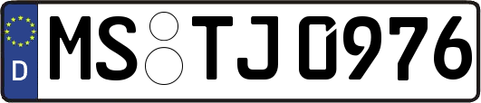 MS-TJ0976