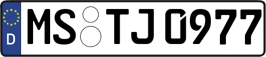 MS-TJ0977
