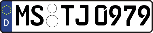 MS-TJ0979