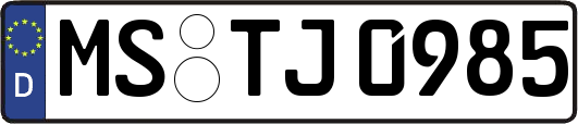 MS-TJ0985
