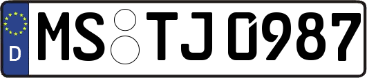 MS-TJ0987