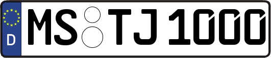 MS-TJ1000