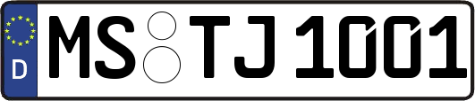 MS-TJ1001