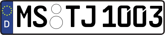 MS-TJ1003