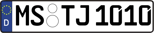 MS-TJ1010