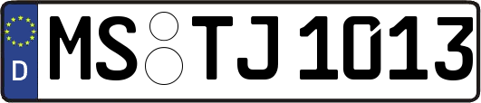 MS-TJ1013