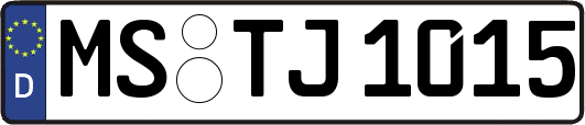 MS-TJ1015