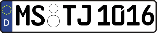 MS-TJ1016