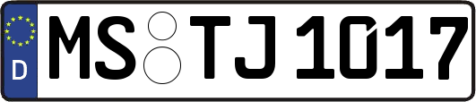 MS-TJ1017