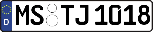 MS-TJ1018