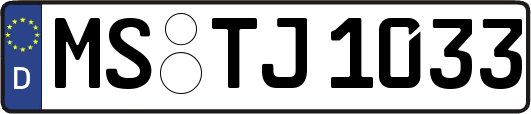 MS-TJ1033