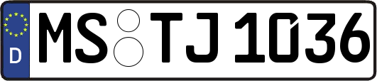 MS-TJ1036