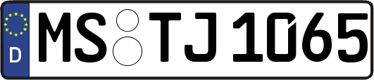 MS-TJ1065