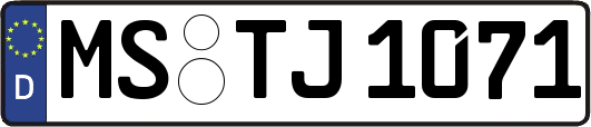MS-TJ1071