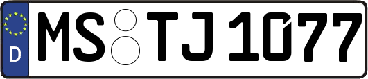 MS-TJ1077