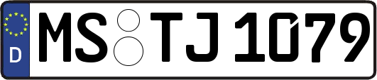 MS-TJ1079
