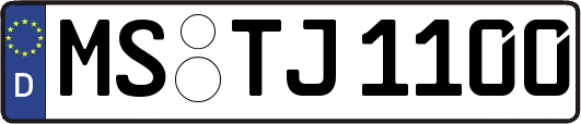 MS-TJ1100