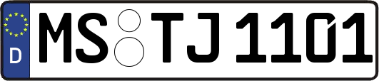 MS-TJ1101