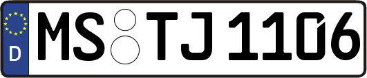 MS-TJ1106