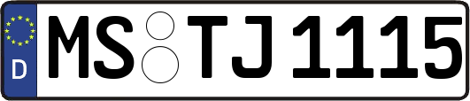 MS-TJ1115