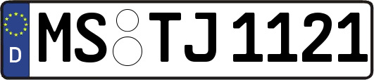MS-TJ1121