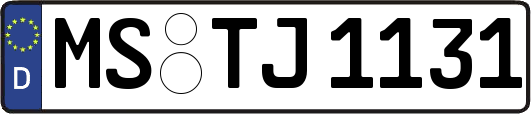MS-TJ1131