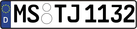 MS-TJ1132
