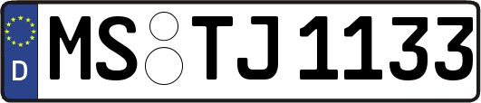 MS-TJ1133