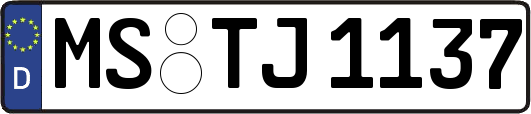 MS-TJ1137