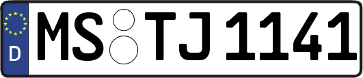 MS-TJ1141