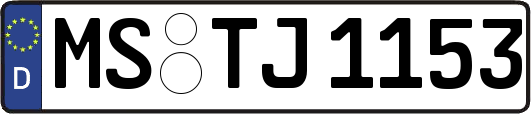 MS-TJ1153