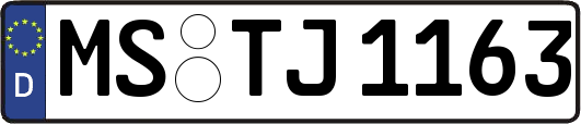 MS-TJ1163