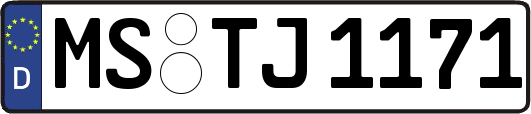 MS-TJ1171