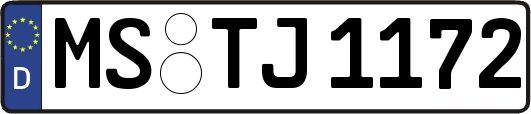 MS-TJ1172