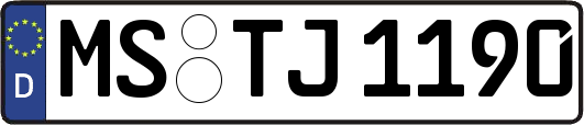 MS-TJ1190
