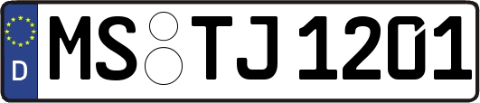 MS-TJ1201