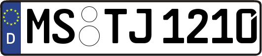 MS-TJ1210