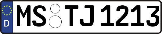 MS-TJ1213