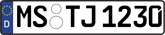 MS-TJ1230