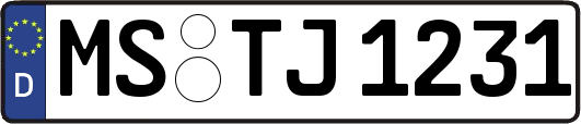 MS-TJ1231