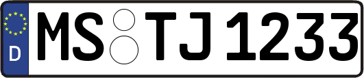 MS-TJ1233