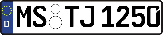 MS-TJ1250
