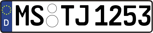 MS-TJ1253