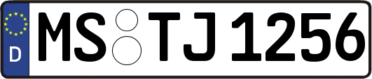MS-TJ1256