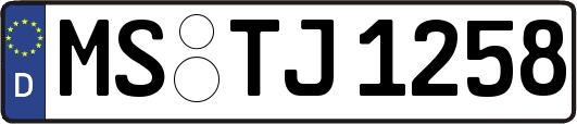 MS-TJ1258