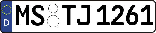 MS-TJ1261