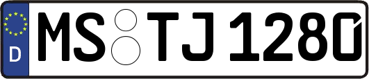 MS-TJ1280