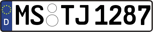 MS-TJ1287