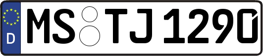 MS-TJ1290