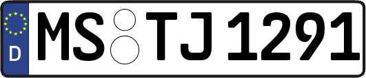 MS-TJ1291